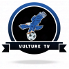 Vulture TV